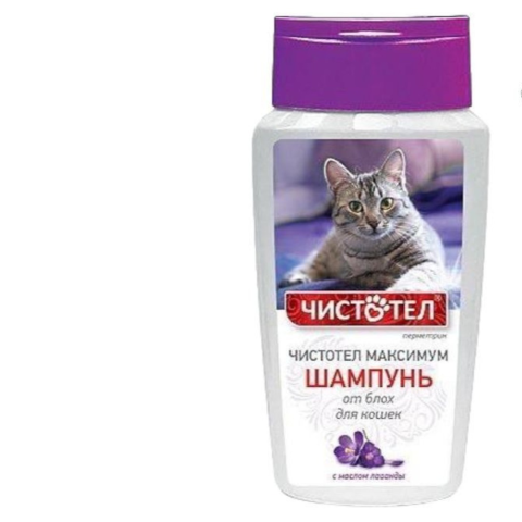 Çistotel Bit Birə Əlehinə Lavanda Pişik