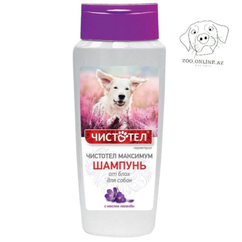 Çistotel Bit Birə Əlehinə Lavanda İt