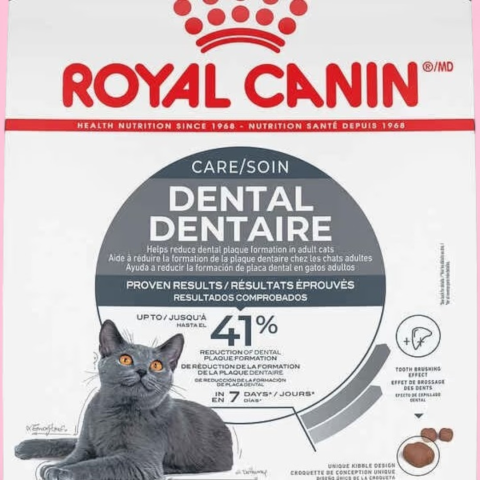 Royal Canin  Dental 250GR