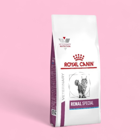 Royal Canin  Renal Special 400GR