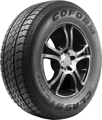 GOFORM   245/65R17  GS03
