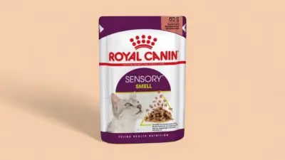 Royal Canın Sensory Smell(qoxu).
