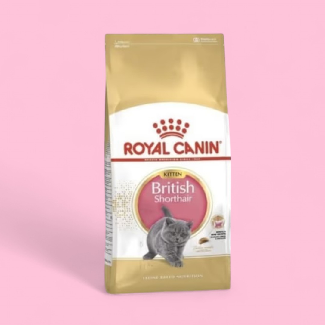 Royal Canın British Shorthair Kitten 400 qr.