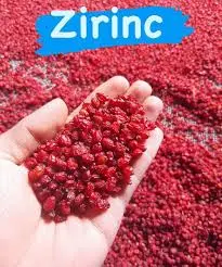 ZİRİNC