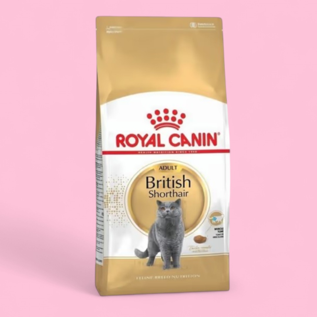Royal Canin  British Shorthair 250GR