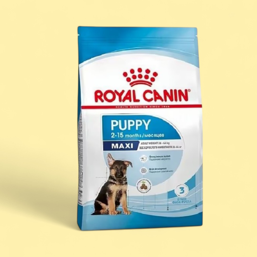 Royal Canin Maxi Puppy – 2–15 aylıq 250qr