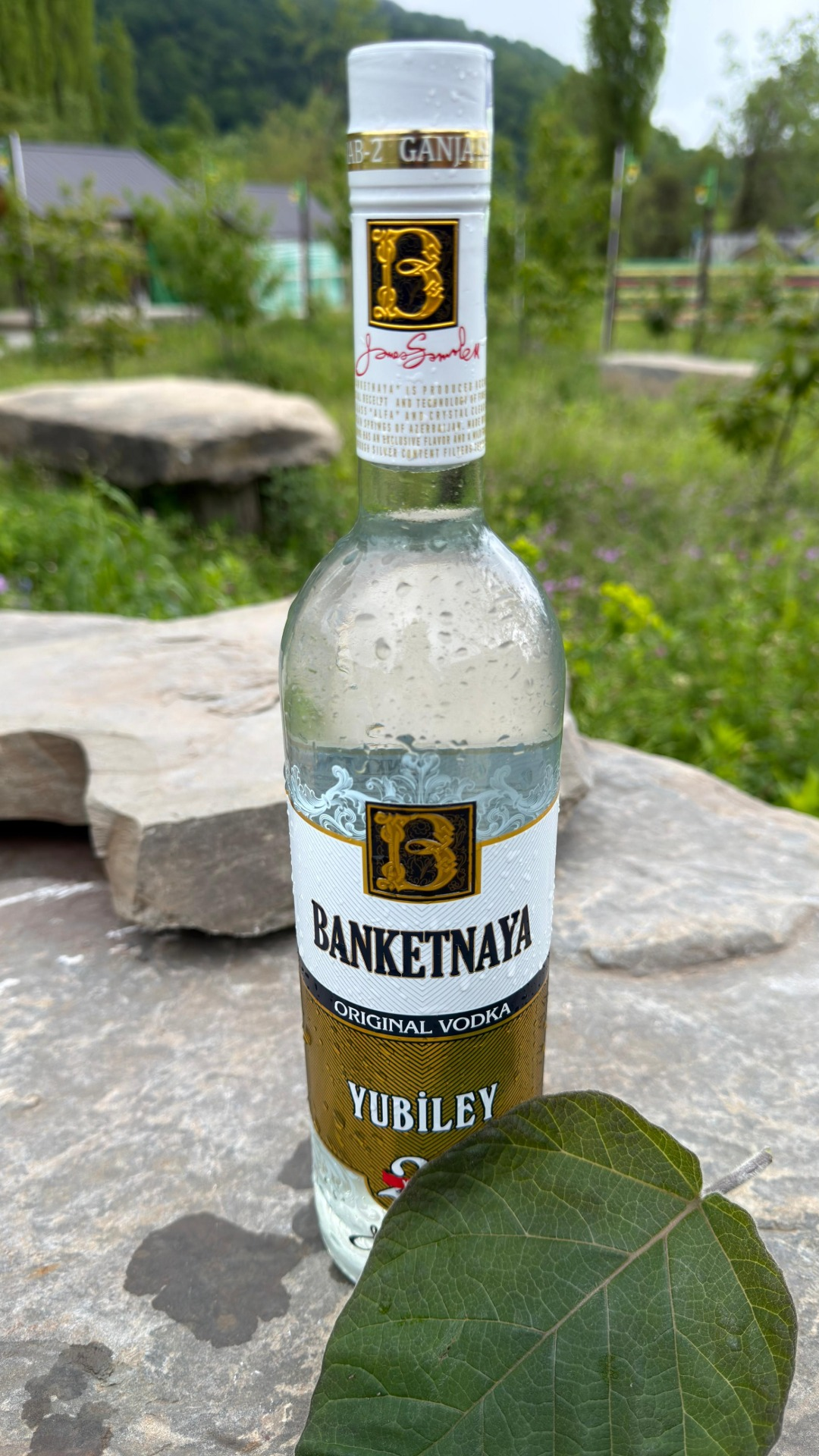 Banketnaya