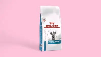 Royal Canin  Hypoallergenic  250GR
