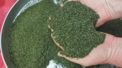 NANƏ QURUSU