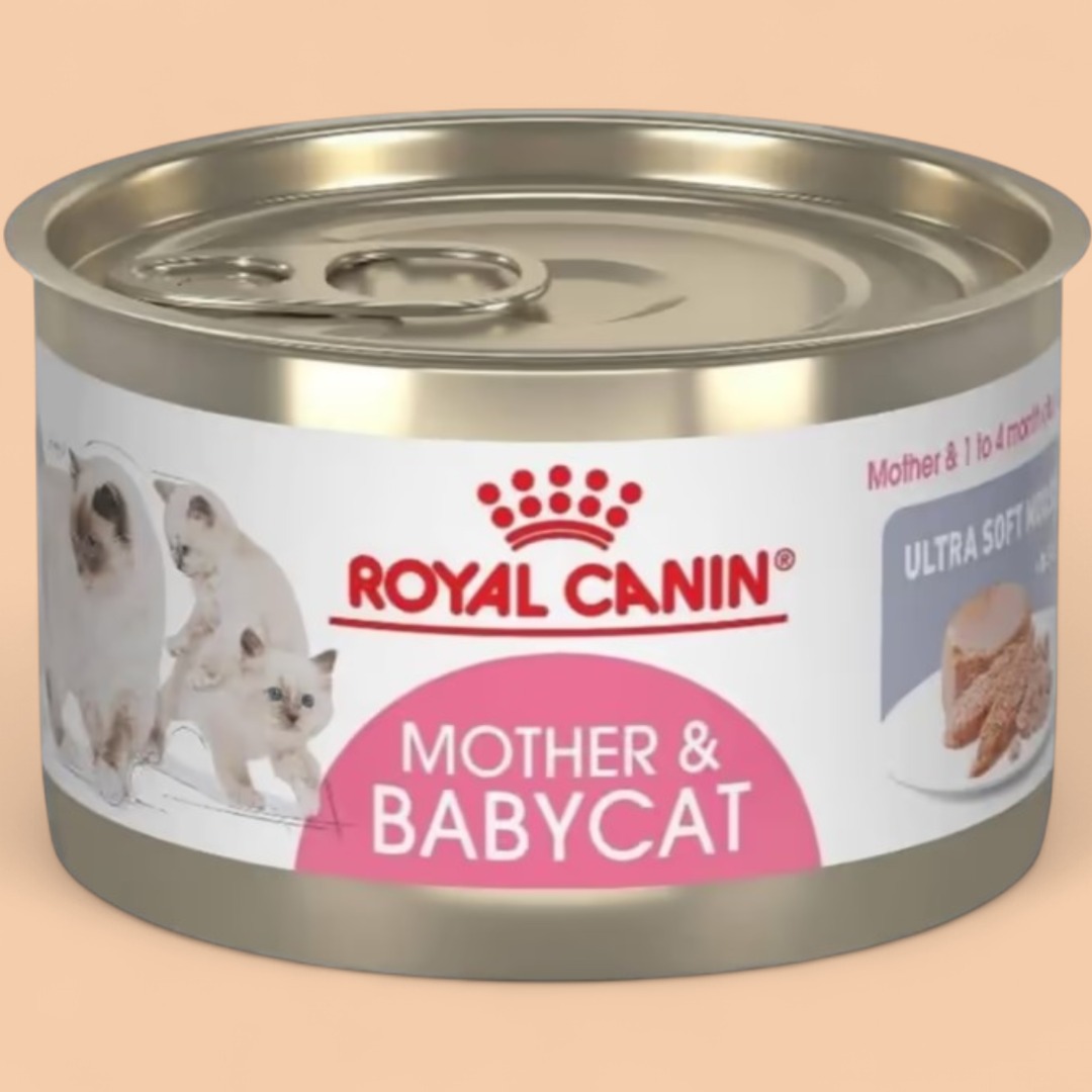 Royal Canin Ana və Bala Pişik