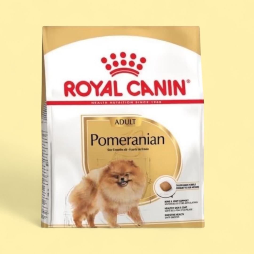 Pomeranian (Adult)- 8 aydan yuxarı 500 gr